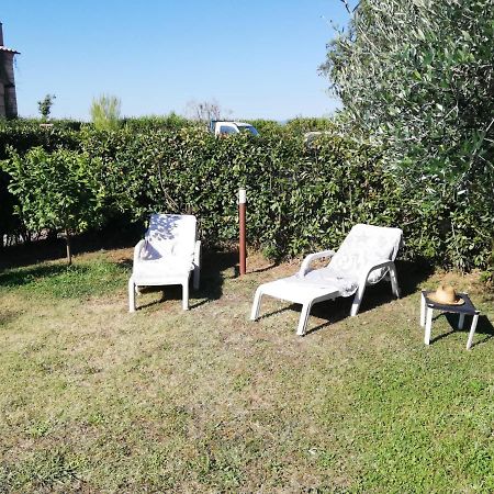 Appartement L'Aia Degli Olivi à Vada Extérieur photo