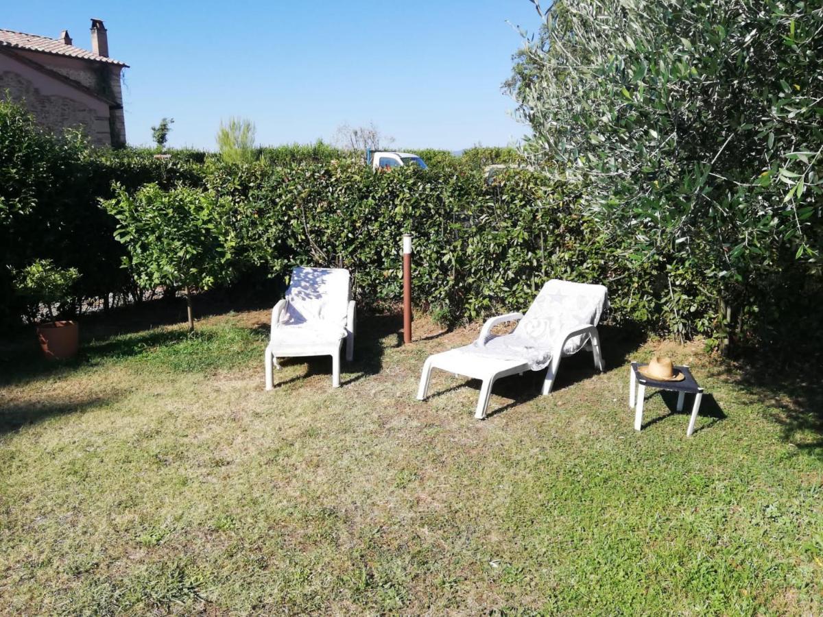 Appartement L'Aia Degli Olivi à Vada Extérieur photo