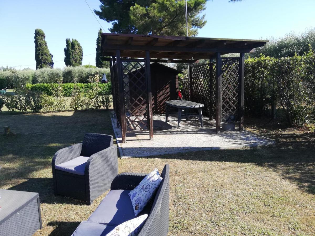 Appartement L'Aia Degli Olivi à Vada Extérieur photo