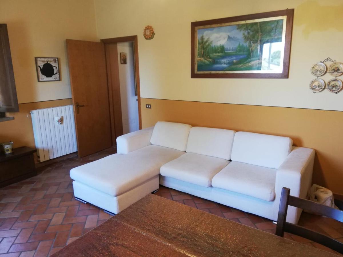 Appartement L'Aia Degli Olivi à Vada Extérieur photo