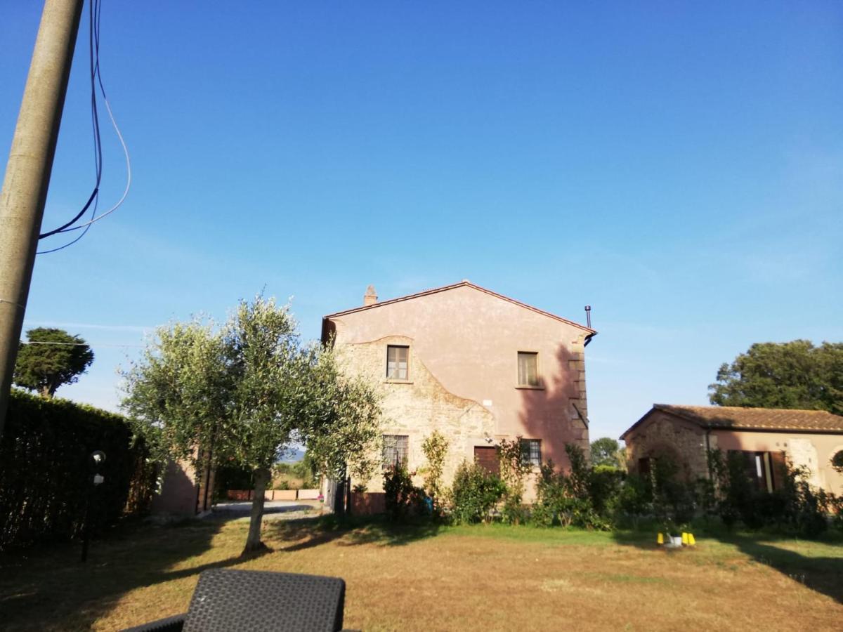 Appartement L'Aia Degli Olivi à Vada Extérieur photo